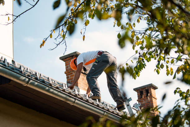 Best Roof Gutter Cleaning  in Peach Springs, AZ