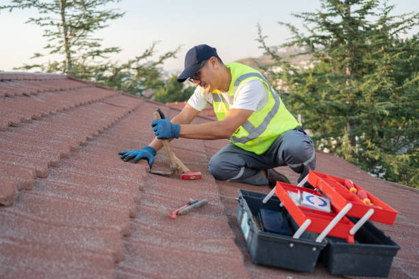 Best Shingle Roofing Installation  in Peach Springs, AZ