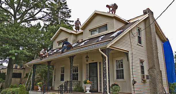 Best Flat Roof Repair Services  in Peach Springs, AZ